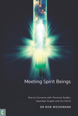 Click for a large cover of MEETING SPIRIT BEINGS.
